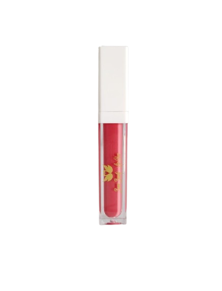 GLOSS WATERPROOF BOEM BEAUTY - PINK ME